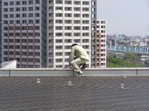 背景にマンションが見える。ビルの上。