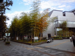 所沢市役所