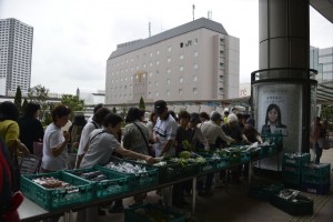 朝採れ野菜♪