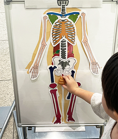 みんなの健康塾の様子